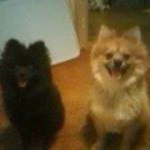 Meet your Posher, Tricia